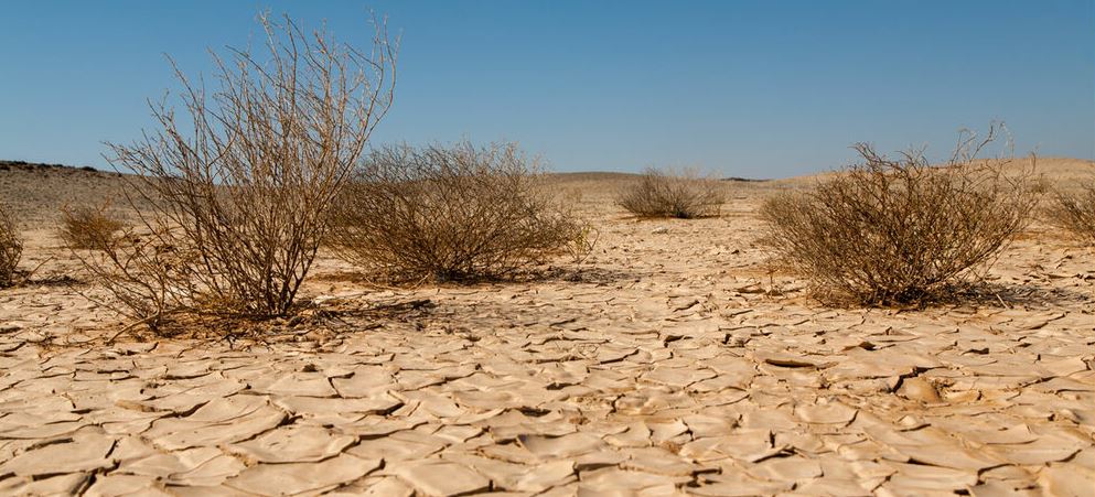 بیابان زایی یک بحران جدی برای ایران