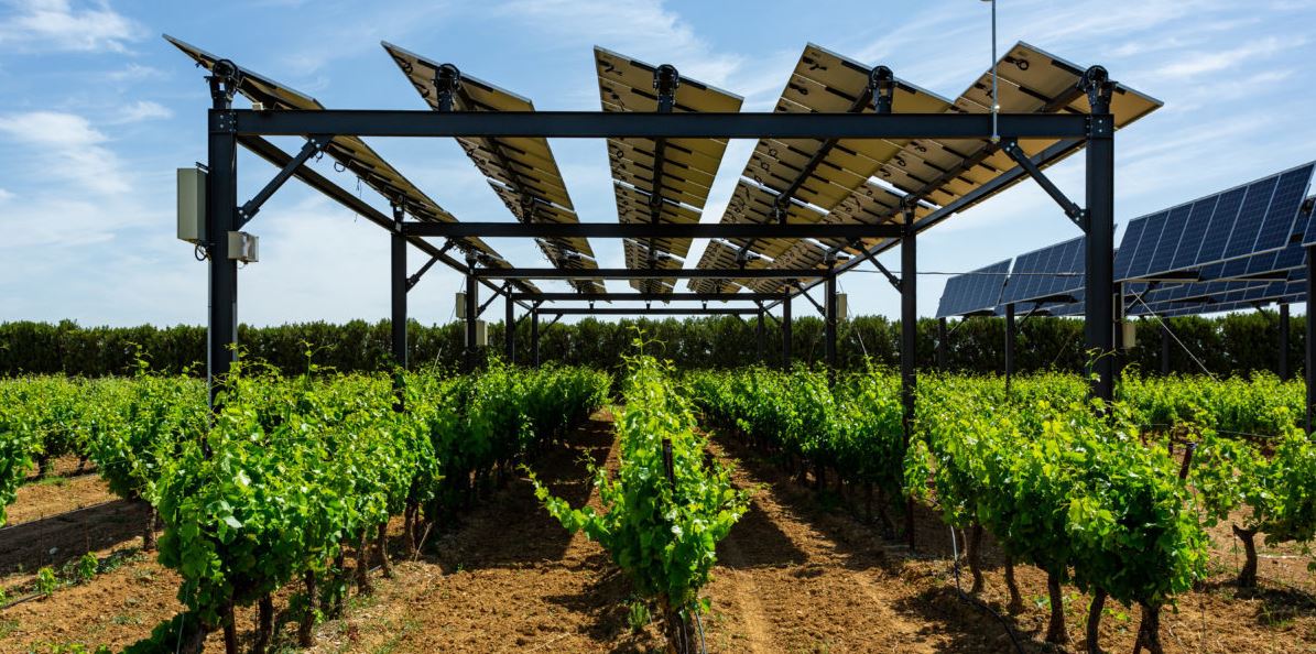استفاده دو منظوره از زمین کشاورزی با پنل های خورشیدی